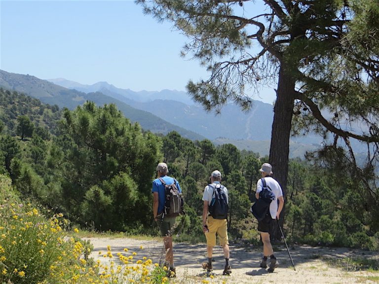 Sedella to Competa