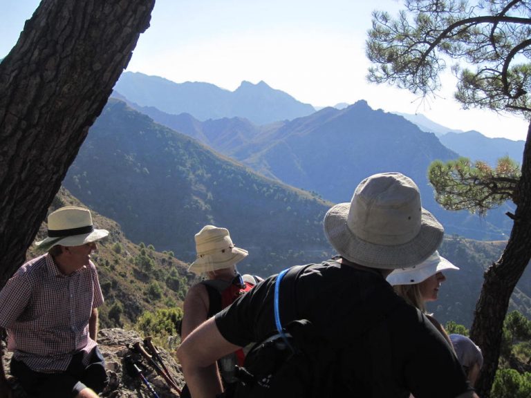 Frigiliana to Maro