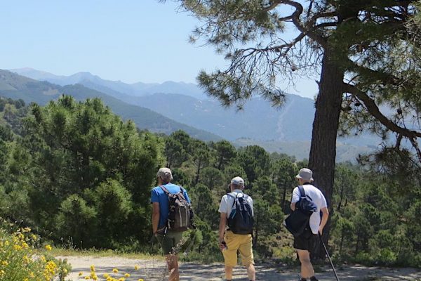 silk-trail_d_to-sedella